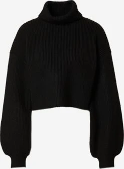 Monki Pulls à Col Roulé Pull-over Femme Noir